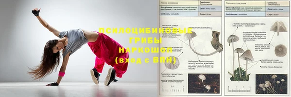 метадон Медногорск