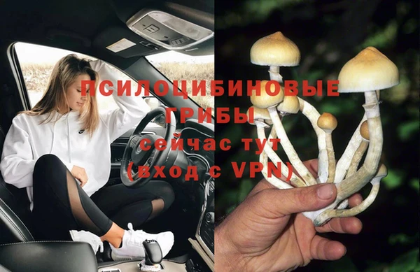 MDMA Медвежьегорск