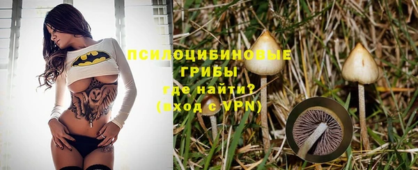 MDMA Медвежьегорск