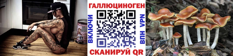 как найти наркотики  Эртиль  Псилоцибиновые грибы мухоморы 