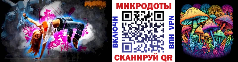 Галлюциногенные грибы Psilocybe Эртиль